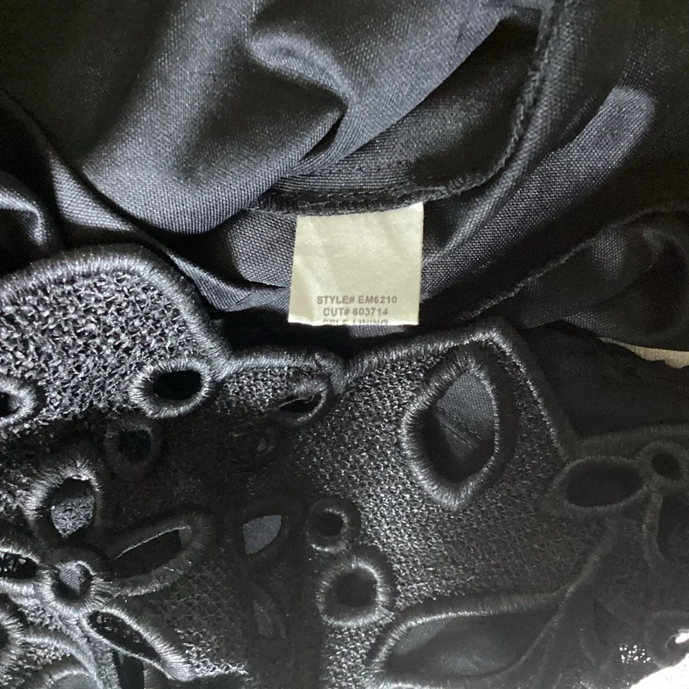 Eva Franco Jamila Dress - Black Vine Woman’s Size 2 New With Tags - Picture 10 of 16